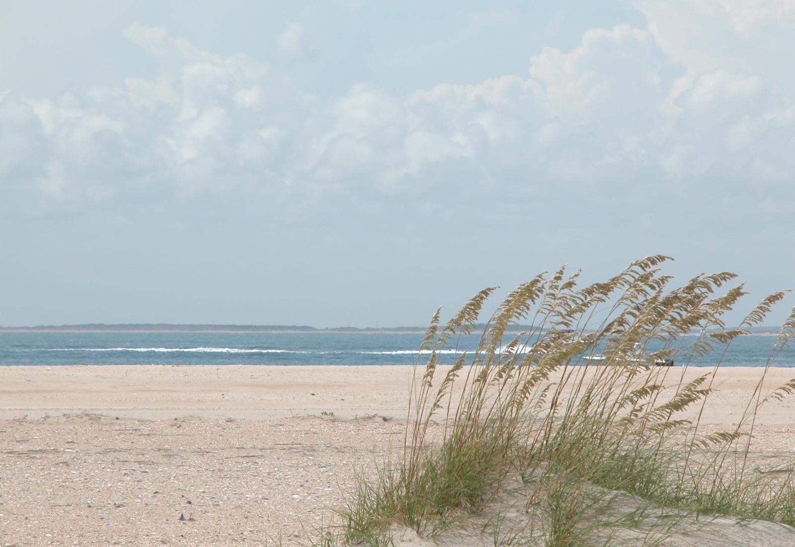 Sandee - Shackleford Banks - Nun Bouy #2