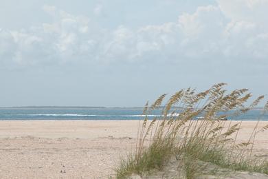 Sandee - Shackleford Banks - Nun Bouy #2