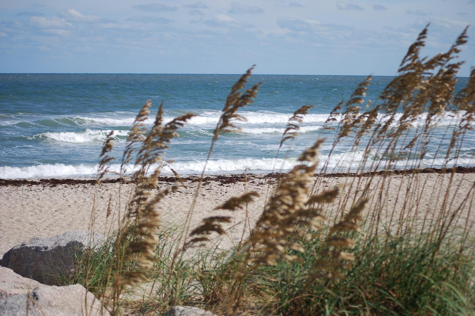 Sandee - Fort Fisher Beach State Park