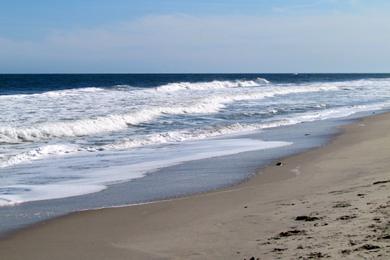 Sandee - Fort Fisher Beach State Park