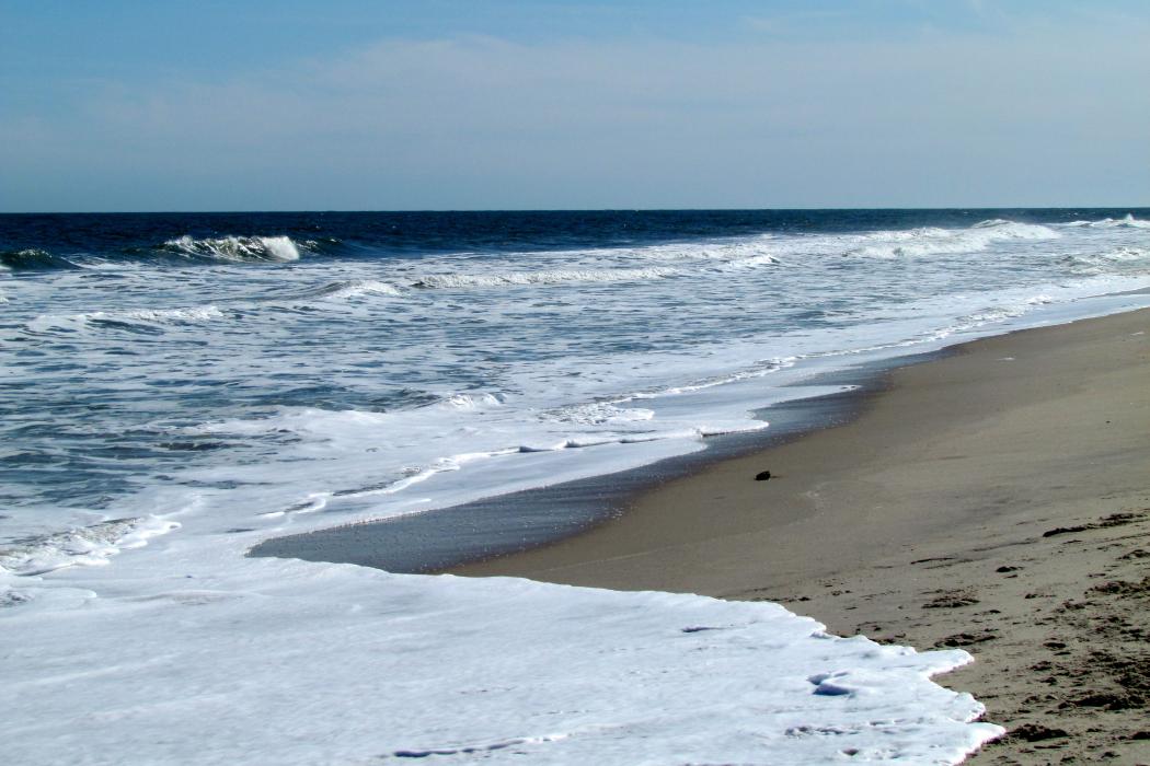 Sandee Fort Fisher Beach State Park