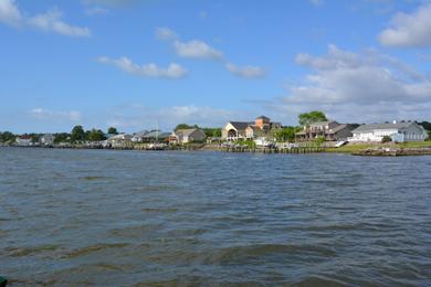 Sandee Mouth Of Back Inlet