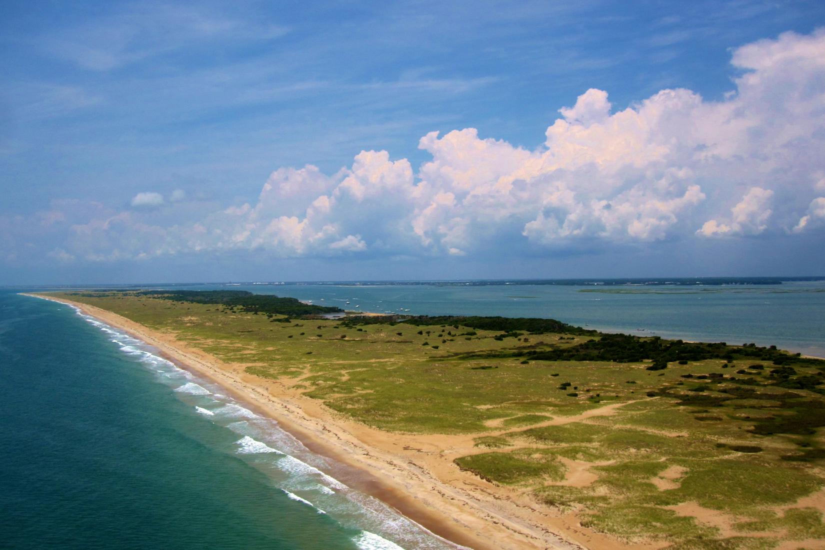 Sandee - Shackleford Banks