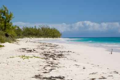 Sandee Lighthouse Beach Photo