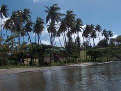 Sandee Peter's Hope Bay Beach Photo