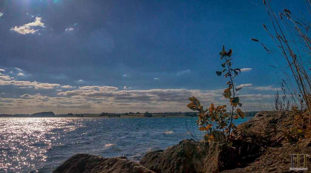 Sandee - Mt. Wynne Beach