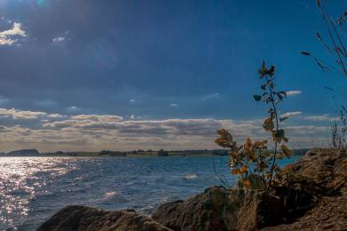 Sandee - Mt. Wynne Beach