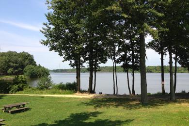 Sandee Mercer Lake County Park Photo