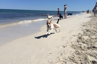 Sandee Whitfords Beach