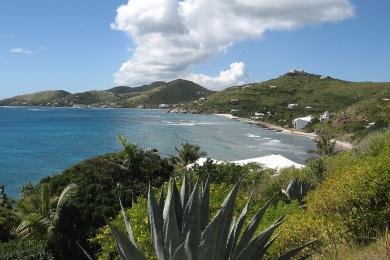 Sandee Grape Tree Beach Photo