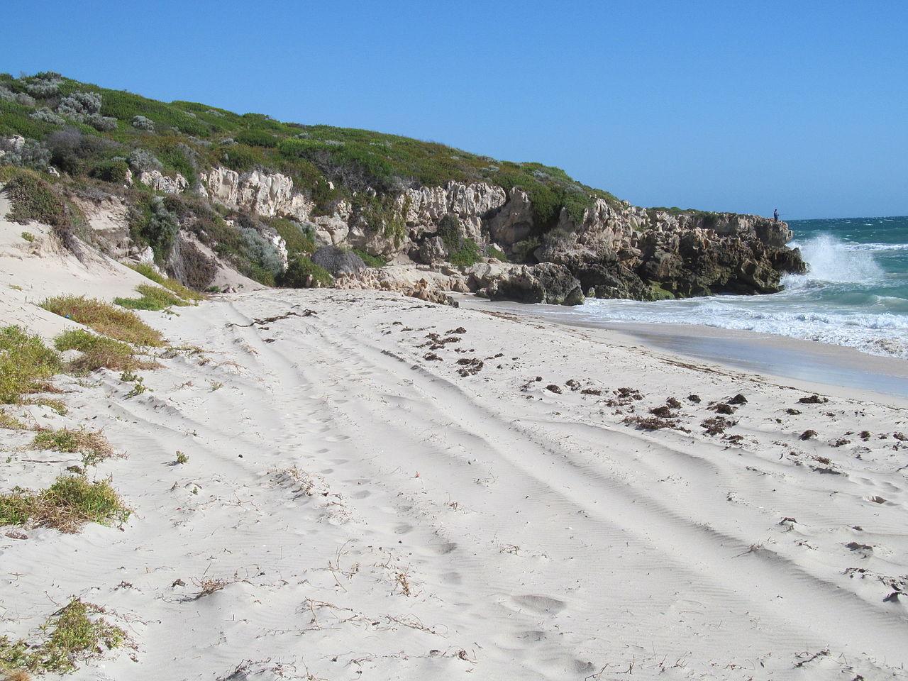 Sandee - Jindalee Beach