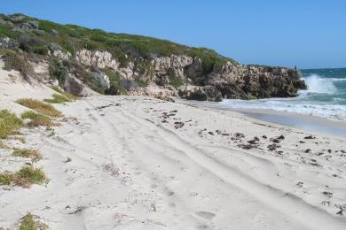 Sandee Jindalee Beach