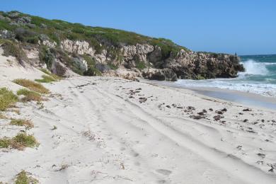 Sandee Jindalee Beach Photo