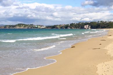Sandee Eden Beach