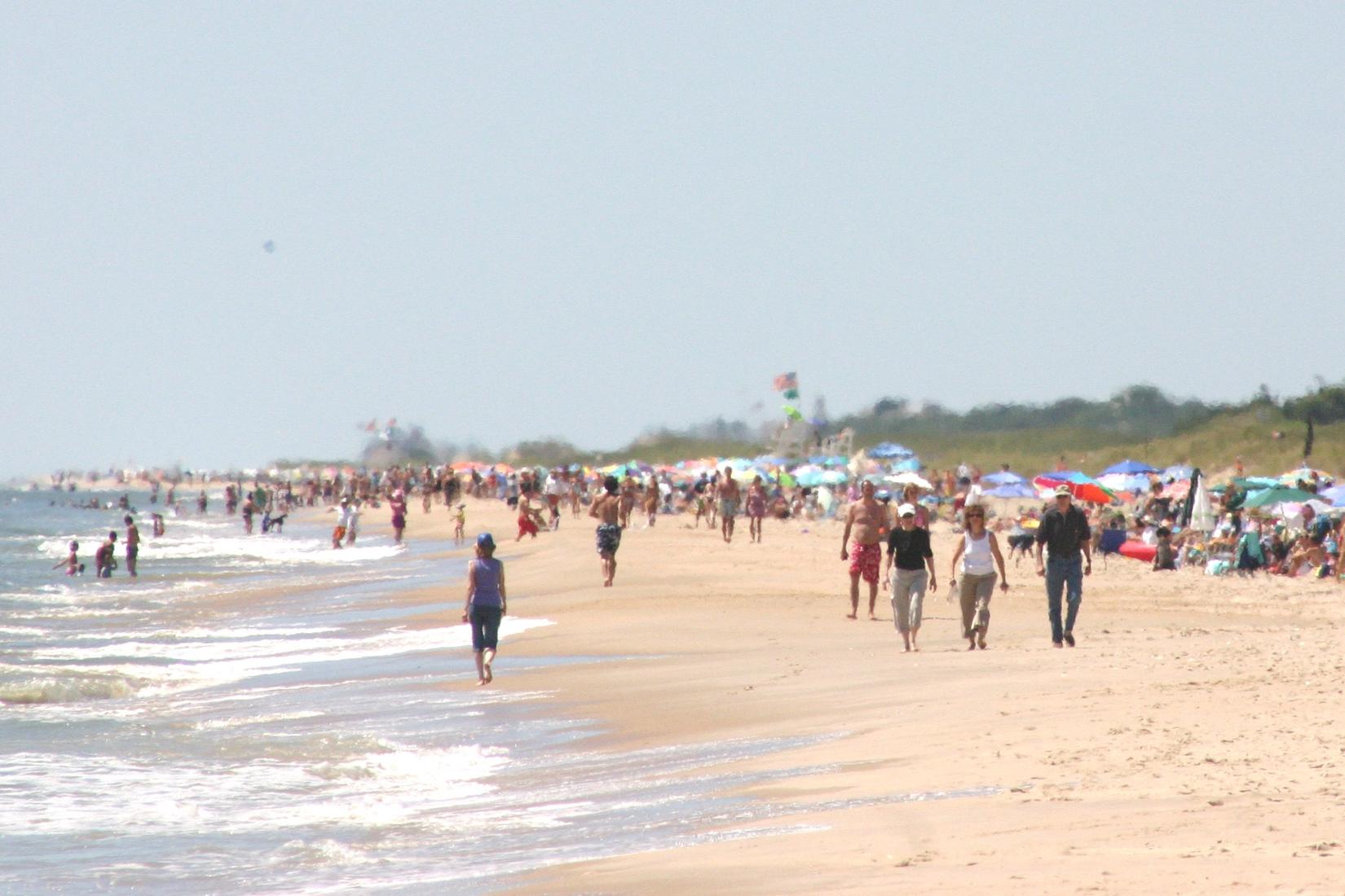 Sandee - Amagansett Beach