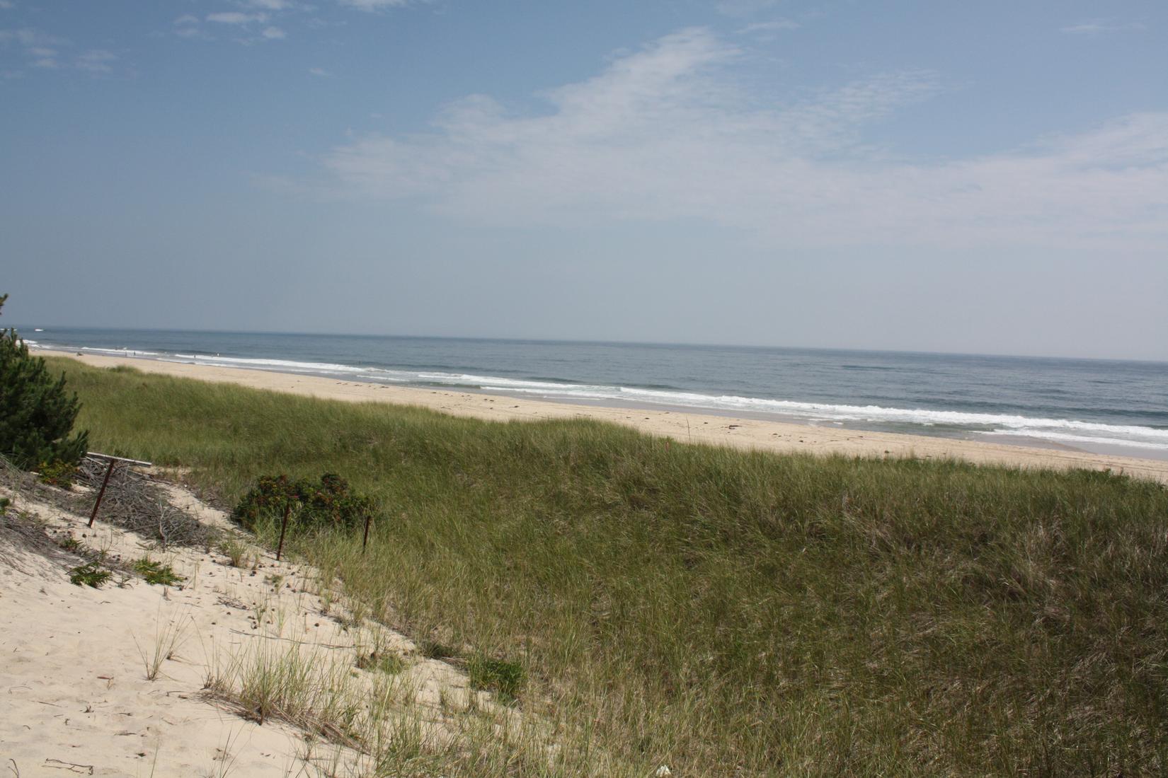 Sandee - Amagansett Beach