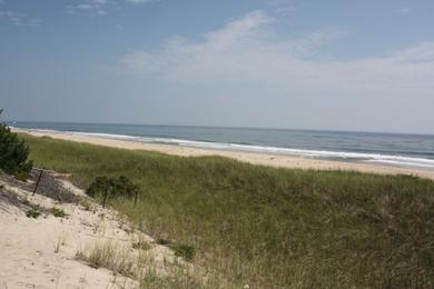 Sandee - Amagansett Beach