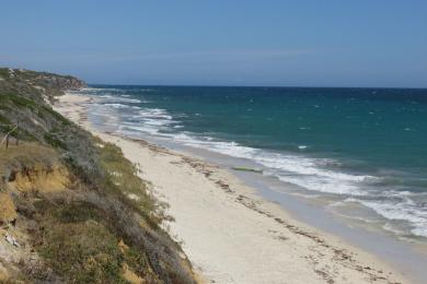 Sandee Seabird Beach Photo