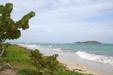 Sandee Anse Des Sables Photo