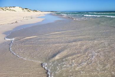 Sandee - Lancelin Beach