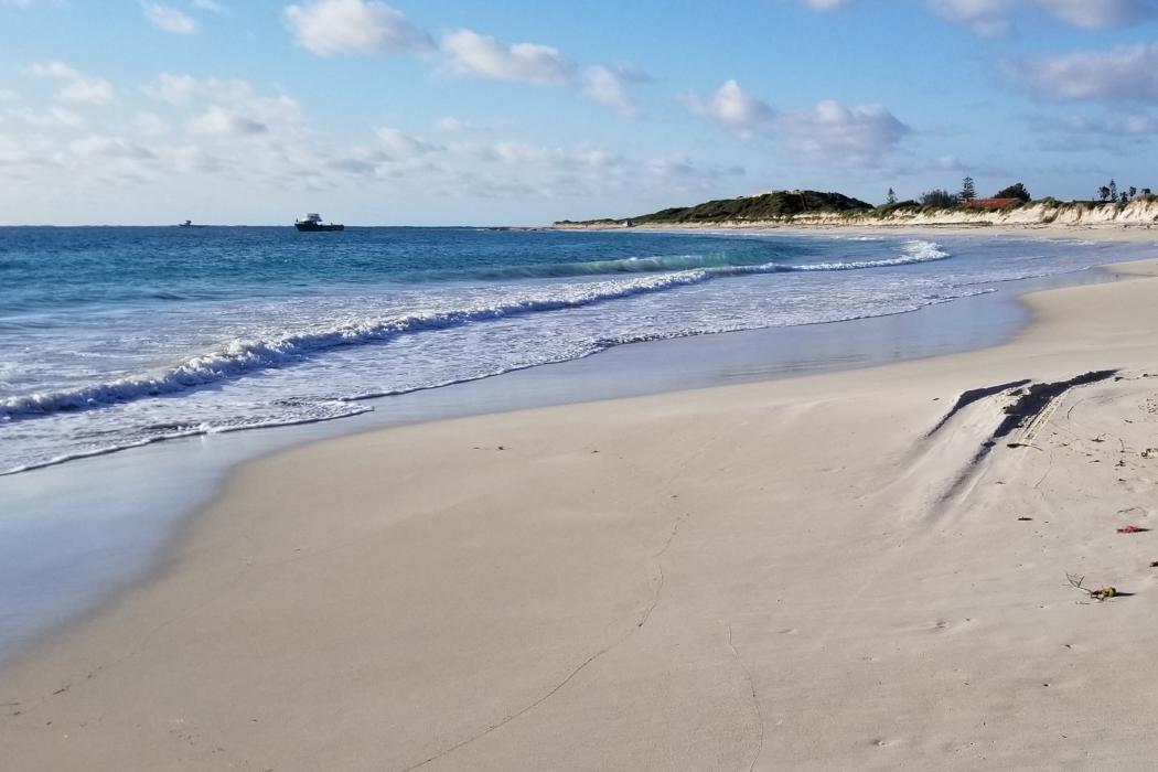 Sandee Lancelin Beach Photo