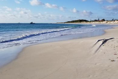 Sandee Lancelin Beach