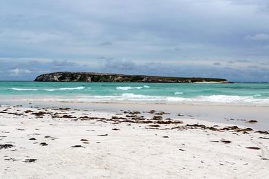 Sandee Wedge Island Photo