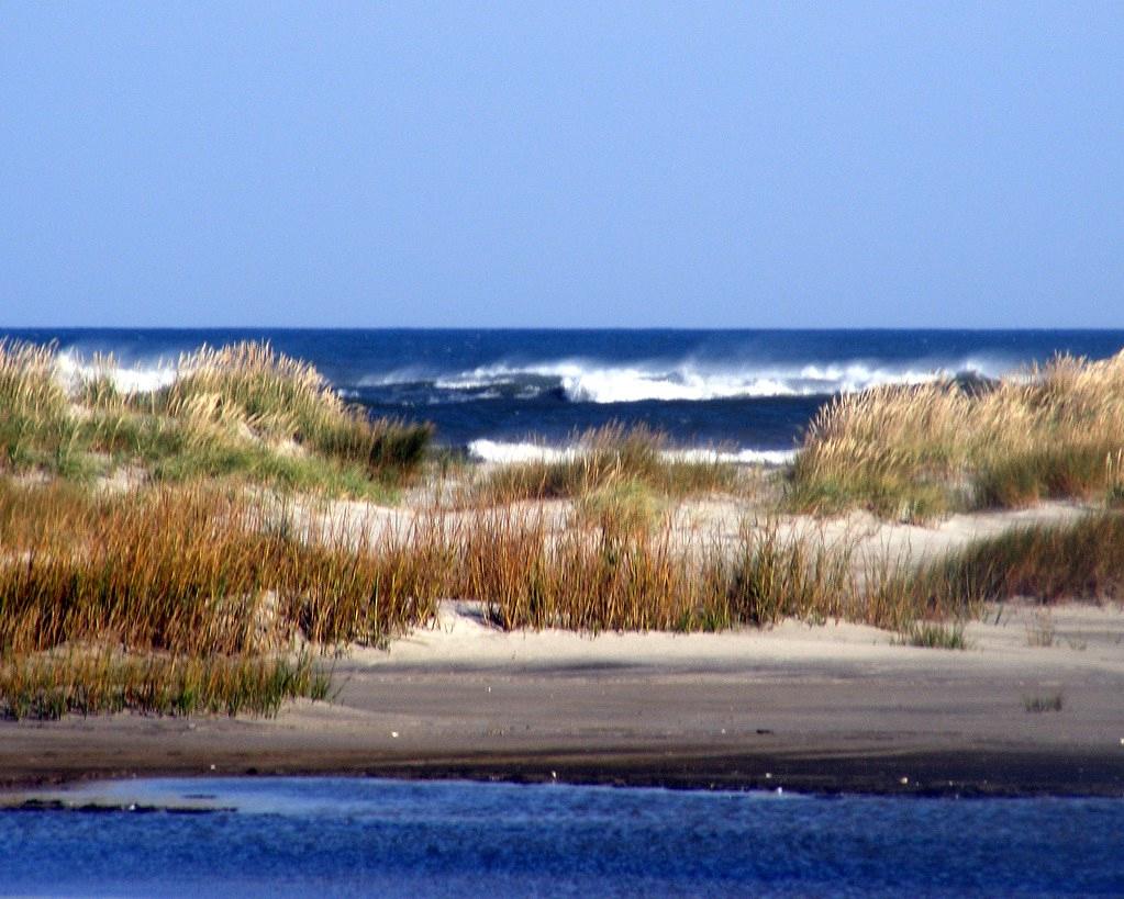 Sandee - Wildwood Beach