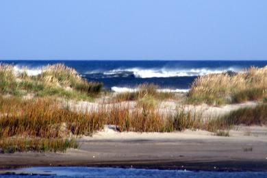 Sandee - Wildwood Beach