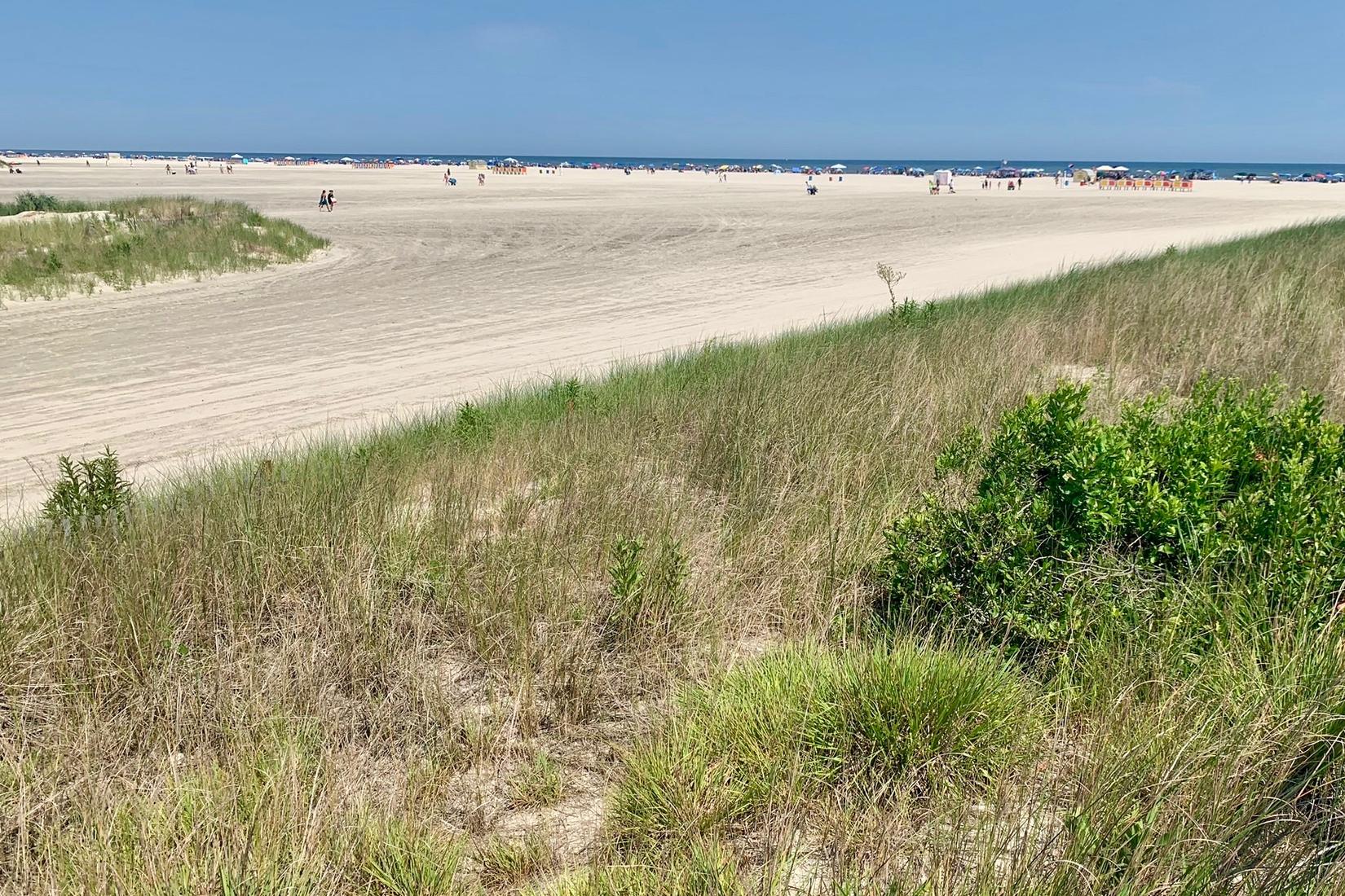 Sandee - Wildwood Crest Beach