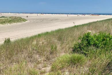 Sandee - Wildwood Crest Beach