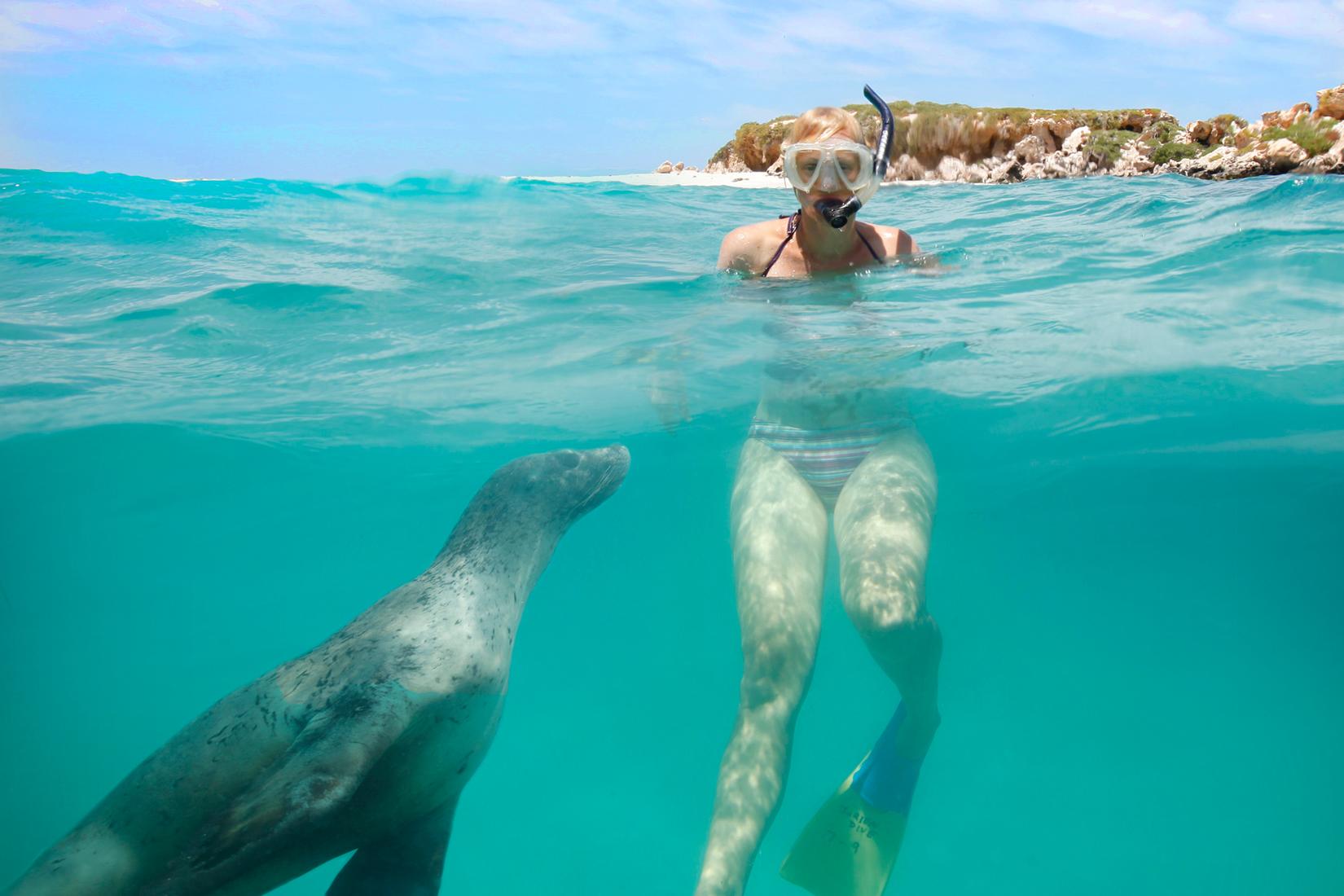 Sandee - Jurien Bay Beach