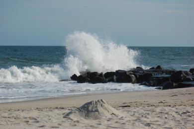 Sandee - Cape May Beach