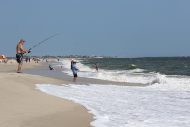 Sandee - Cape May Beach