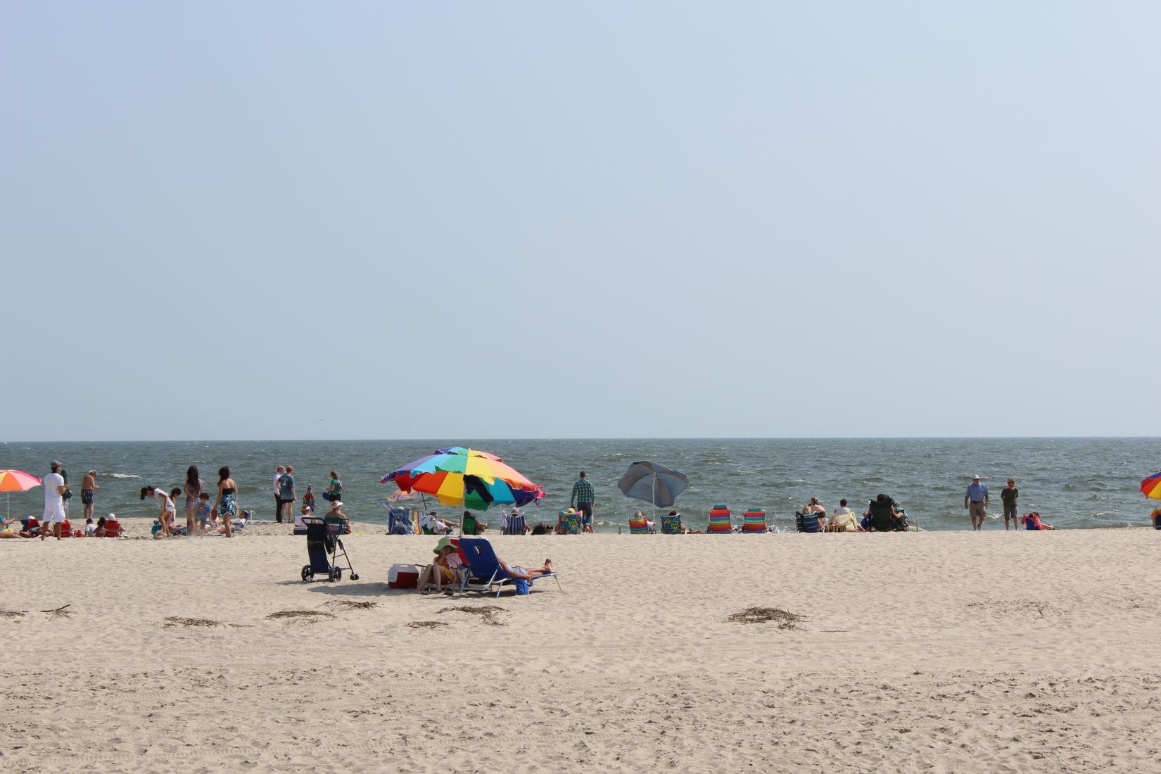 Sandee - Cape May Beach