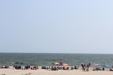 Sandee - Cape May Beach