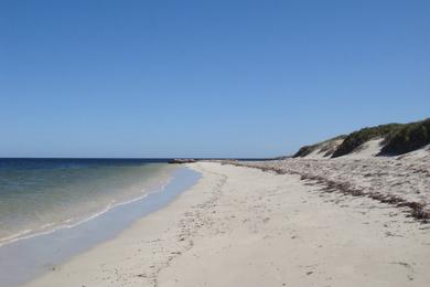 Sandee Coolimba Beach Photo