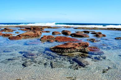 Sandee Blue Holes Beach Photo