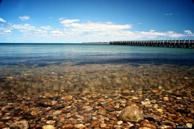 Sandee Fort Pond Bay Beach
