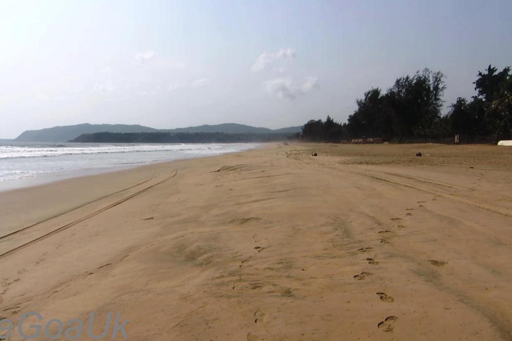Sandee Agonda Beach