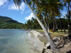 Sandee Spring Bay Beach Photo