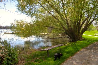 Sandee Lake Walcott State Park Photo