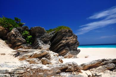 Sandee Surf Side Beach Photo