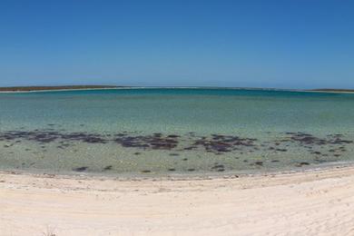Sandee Little Lagoon