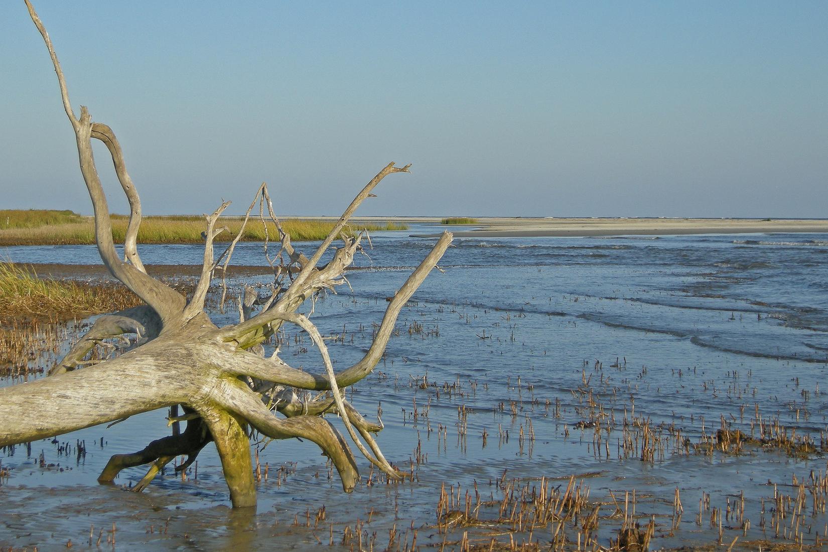 Sandee - Shoal Inlet