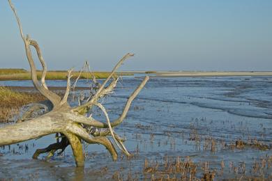 Sandee Shoal Inlet