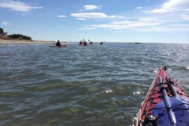 Sandee - Toto Inlet