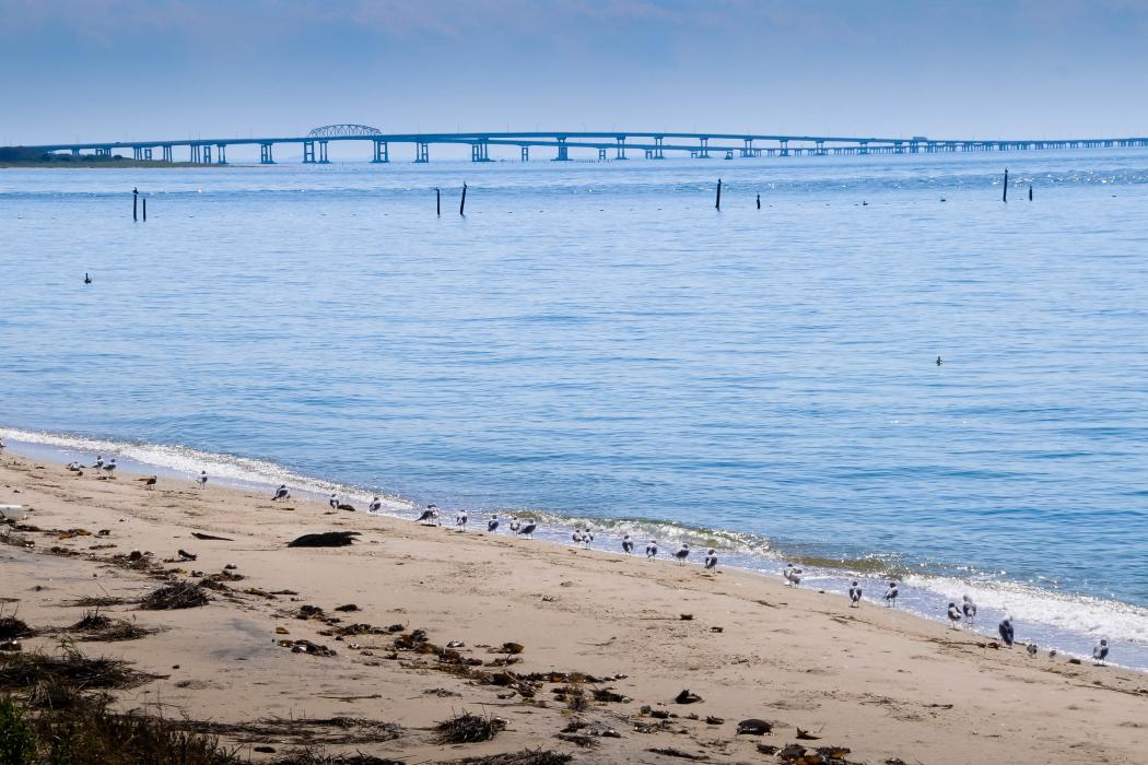 Sandee Chesapeake Bay Beach Photo