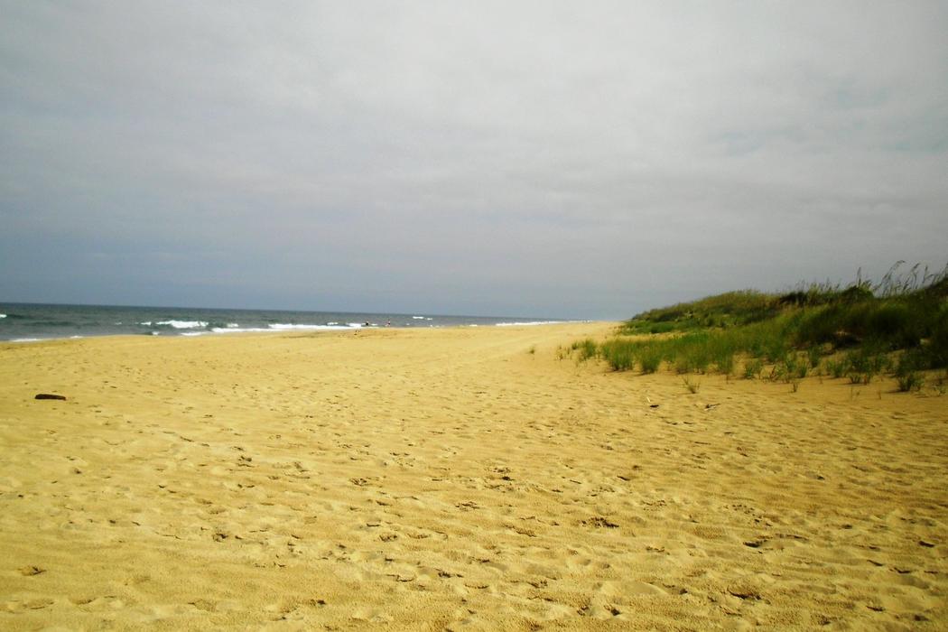 Sandee Little Island Beach North