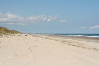 Sandee Sandbridge North
